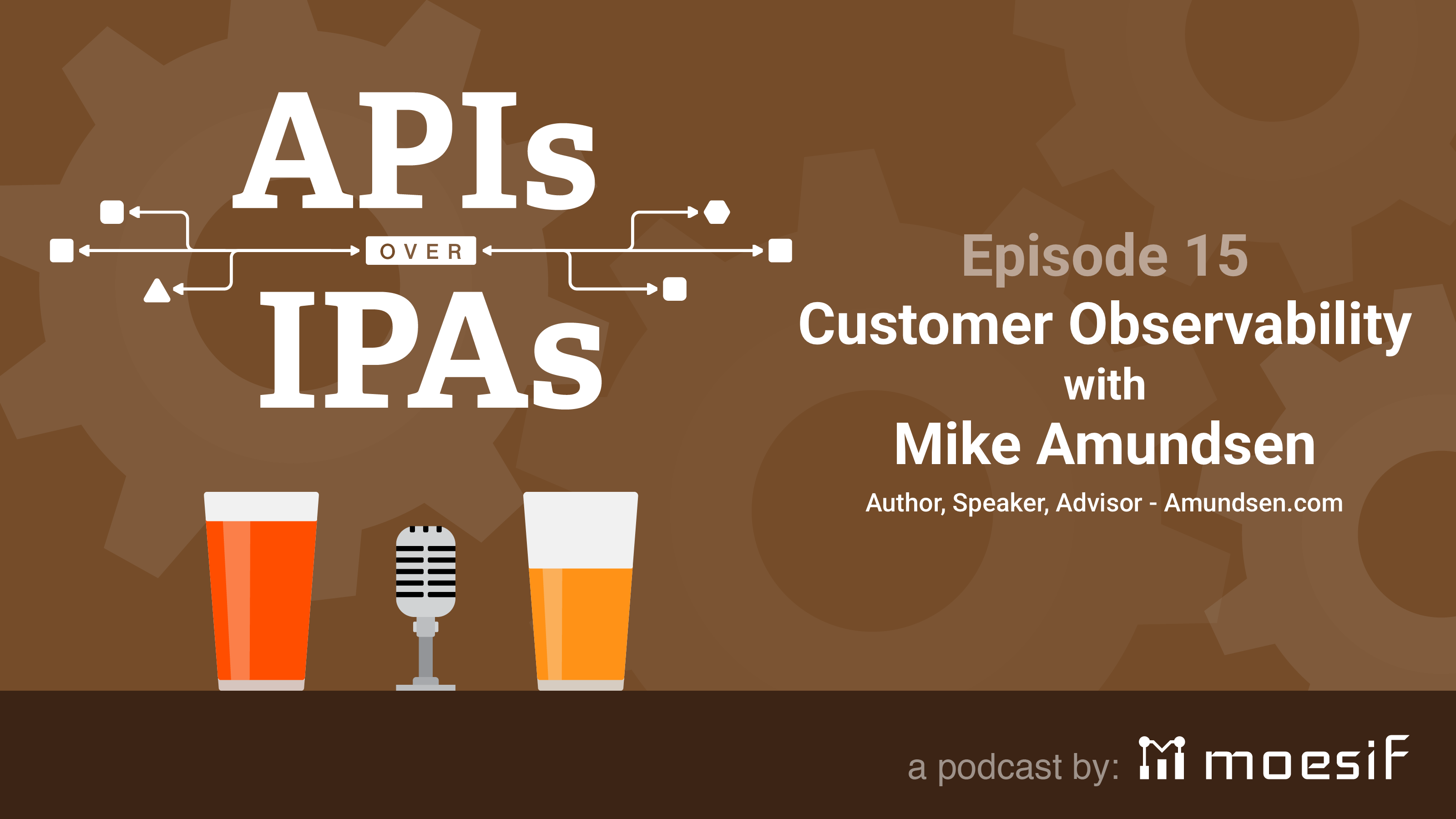 APIs Over IPAs 15: Customer Observability with Mike Amundsen, Amundsen.com