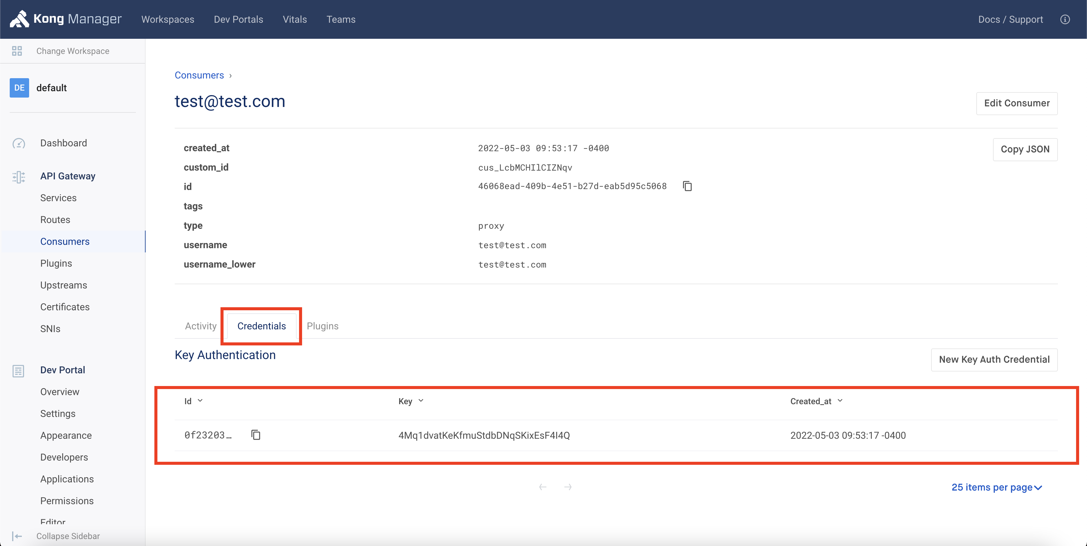 Kong Consumer Credentials Detail