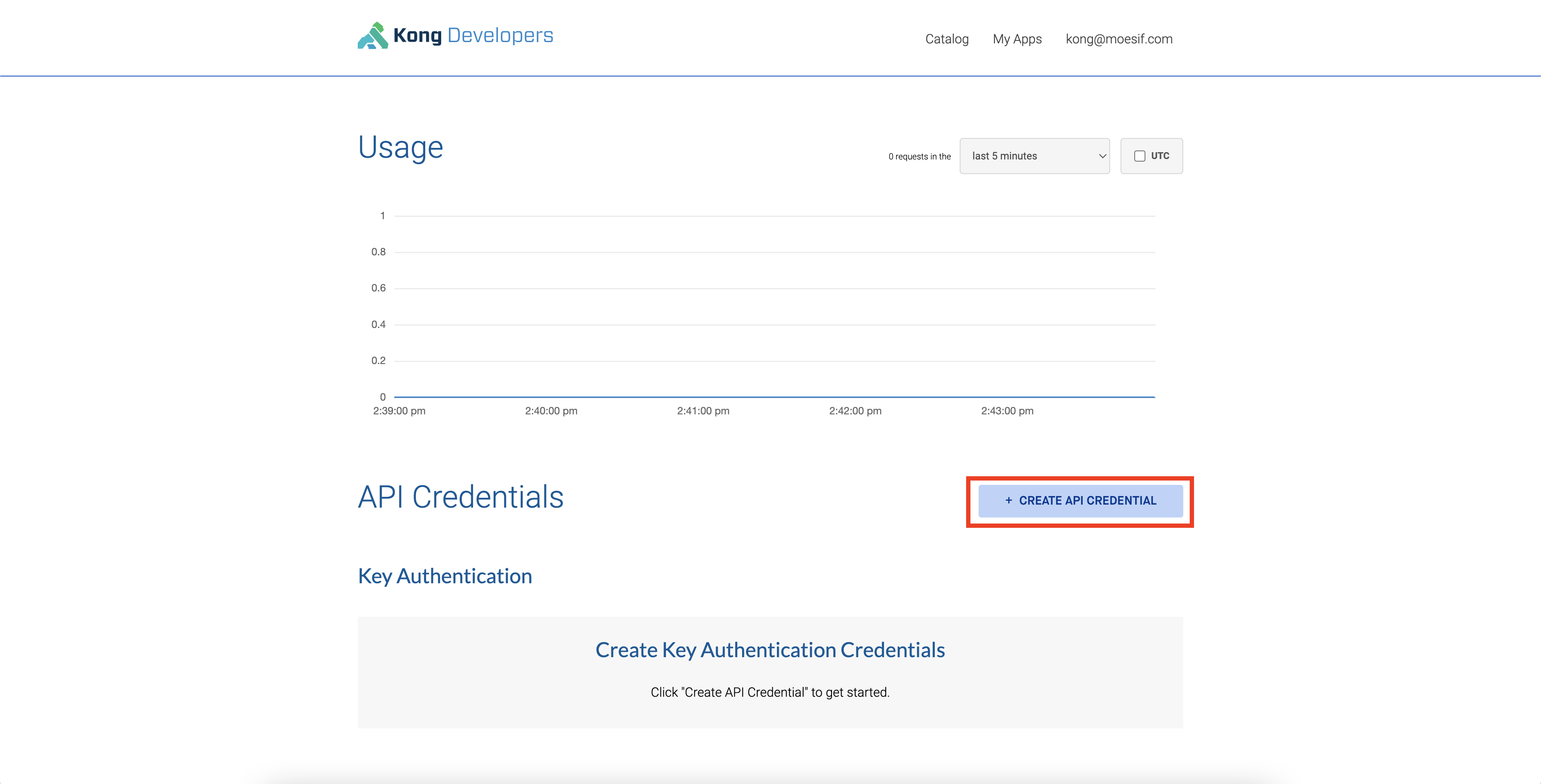 Kong dev portal create api credential