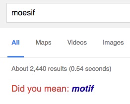 Moesif Search Results